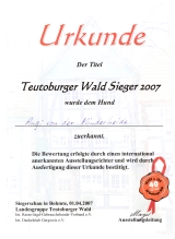 Maxi schoko Rauhaarteckel V1 CACIB Teutoburger Wald Sieger 01.04.2007
