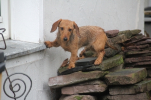 Nicht auf die Fensterbank!